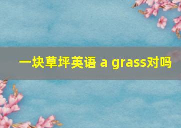 一块草坪英语 a grass对吗